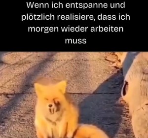 weiter