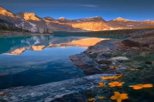 Natur.mp4 von Hektor