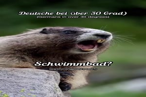 weiter