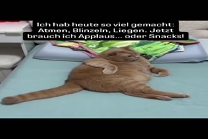 weiter