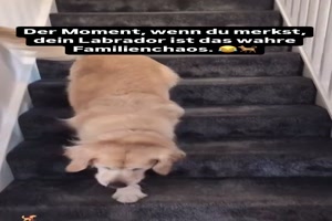 weiter