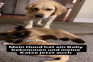 weiter