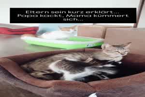 weiter