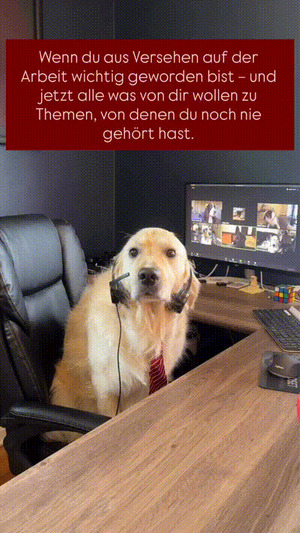 weiter