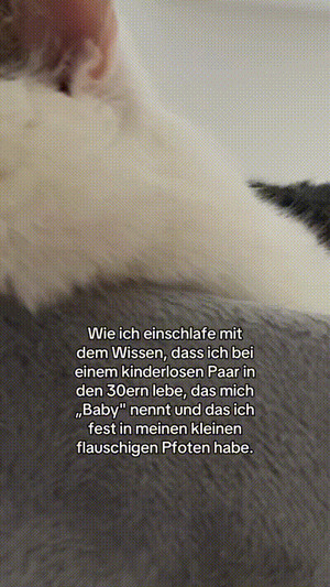 weiter