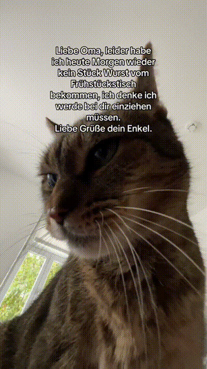 weiter