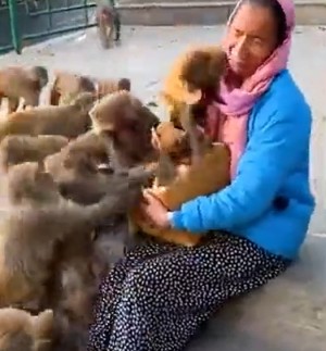 Wenn Tiere Hunger haben
