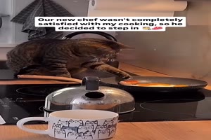 Das-muss-man-nochmal-probieren.mp4 von Annika-71