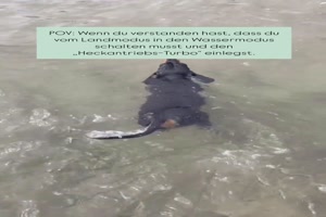 Heckantrieb eingeschaltet