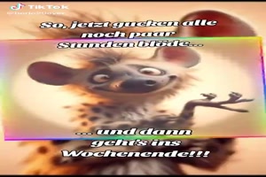Ab-ins-Wochenende.mp4 auf www.funpot.net