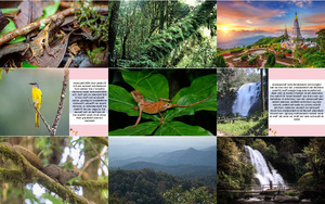 klicke hier, um die Datei herunterzuladen Nationalpark - Doi Inthanon