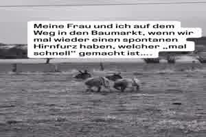 Schnell in den Baumarkt