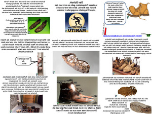 klicke hier, um die Datei herunterzuladen Der Schuh