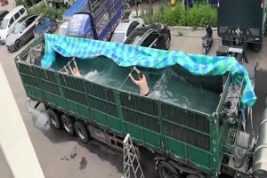 LKW-Wellenbad