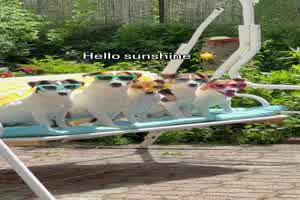 Gechillte Hunde