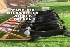weiter