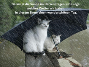 weiter