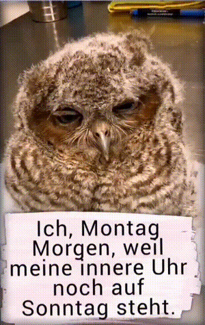weiter