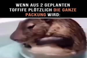 Etwas zu viel geworden