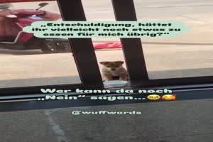 weiter