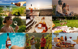 klicke hier, um die Datei herunterzuladen Sommer und Wein