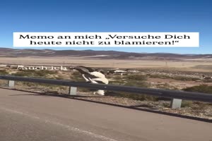 Heute mal nicht blamieren