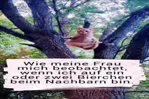 weiter