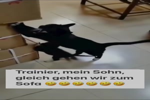 weiter
