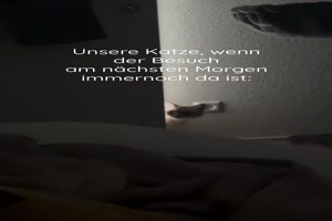 Warum bist du noch da?