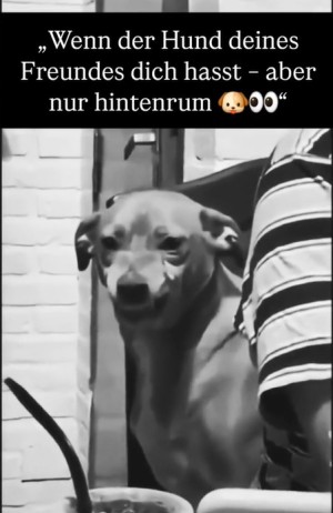 weiter