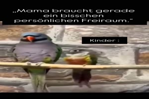 weiter