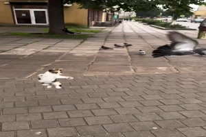 weiter