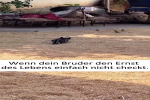 Einer hat es nicht kapiert