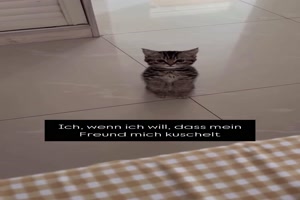 weiter