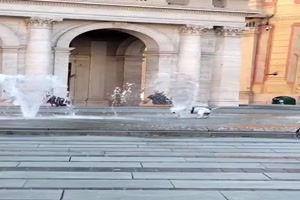 Hund liebt den Brunnen