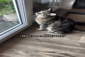 Du kannst nicht raus