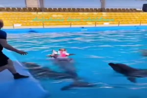 Delfinschwimmen.mp4 auf www.funpot.net