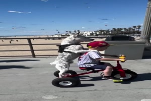 Zusammen auf der Strandpromenade