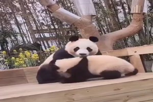 Kinder-sind-anstrengend.mp4 von Lydia