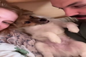 Geh-weg.mp4 von Louisa