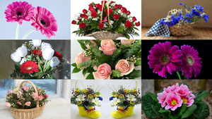 klicke hier, um die Datei herunterzuladen Flowers 27