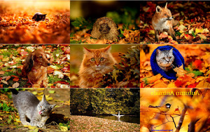 klicke hier, um die Datei herunterzuladen Tiere im Herbst