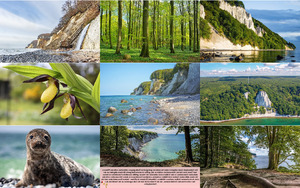 Nationalpark Jasmund
