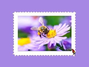 klicke hier, um die Datei herunterzuladen Bienen auf Briefmarken