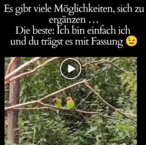 weiter