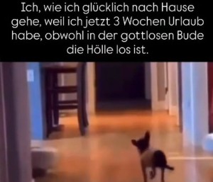 weiter