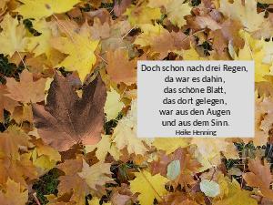 Das Blatt