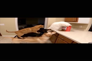 Teamwork