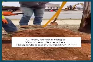 weiter