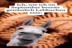 weiter